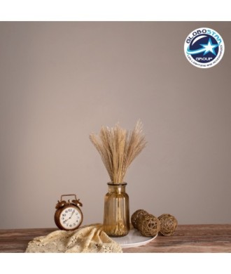 GLOBOSTAR® MISCANTHUS 36534 Αποξηραμένο Διακοσμητικό Μπουκέτο Μίσχανθος - Μπεζ - Μ20 x Π20 x Υ40cm - Πακέτο 20 Τεμαχίων